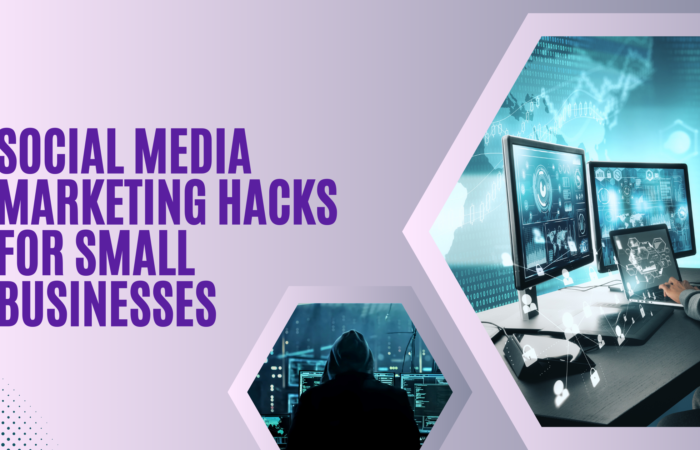 WEB Z BLOGS CREATIVES (26) Social Media Marketing Hacks for Small Businesses in Ropar